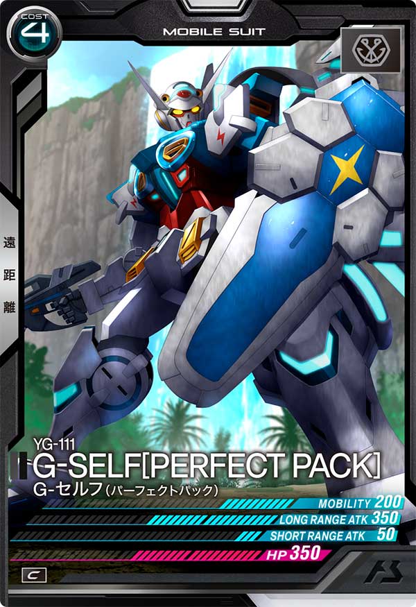 G-セルフ(パーフェクトパック)