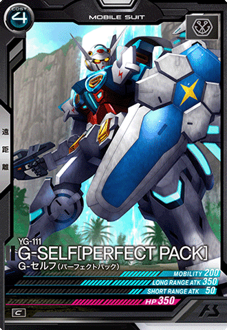 G-セルフ(パーフェクトパック)